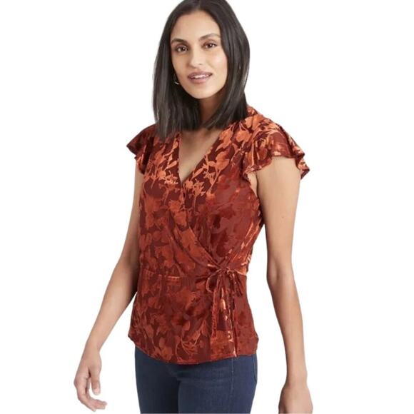NWT Banana Republic Burnout Velvet Wrap Peplum Top MD Whimsygoth Fairy Coquette - Picture 1 of 11